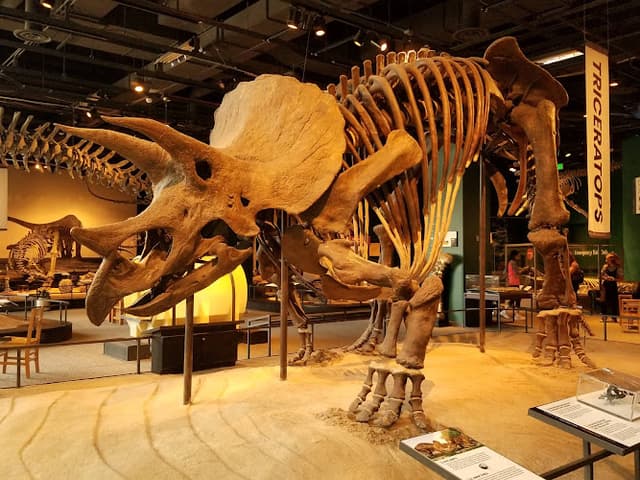 Science Museum of Minnesota
