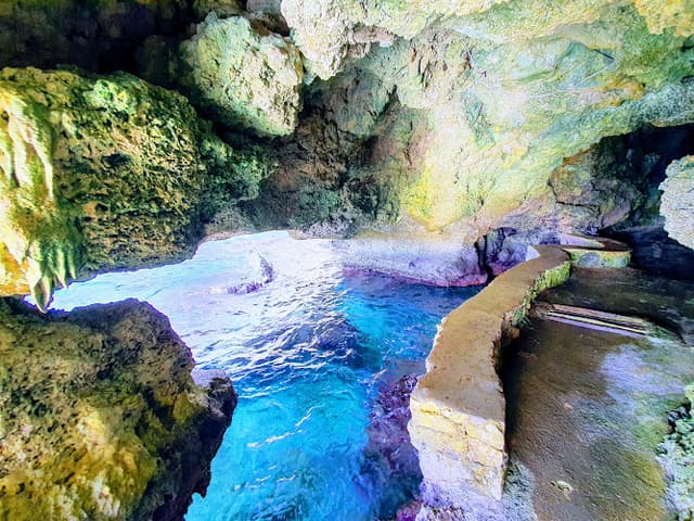 Rocklands Bird Sanctuary (Montego Bay)