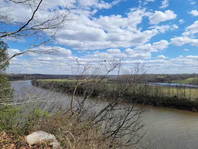 Kings Bluff