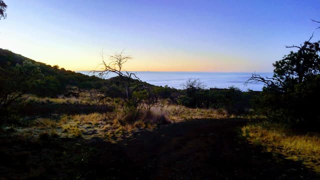 Mauna Kea - State Science Reserve - Halepōhaku Area