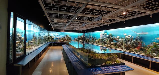 Busan Marine Natural History Museum