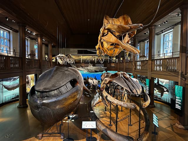 Gothenburg Museum of Natural History