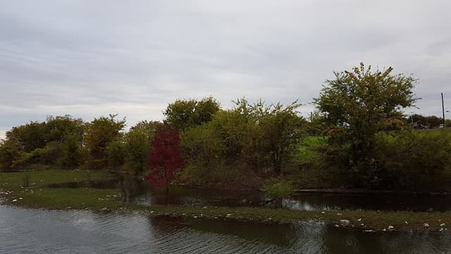 Lake Ray Hubbard Greenbelt