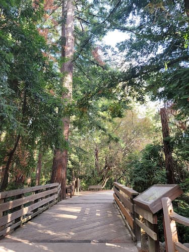 Redwood Grove Nature Preserve