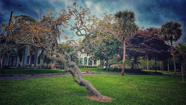 Granada Terrace Park