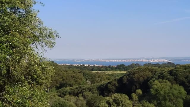 Parque Florestal de Monsanto
