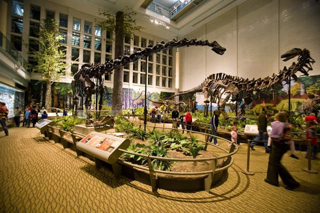 Carnegie Museum of Natural History