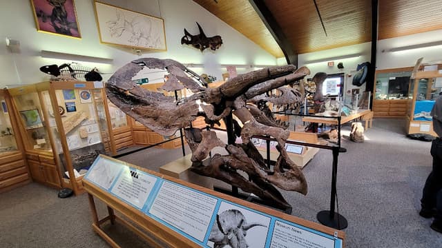 Tate Geological Museum at Casper College