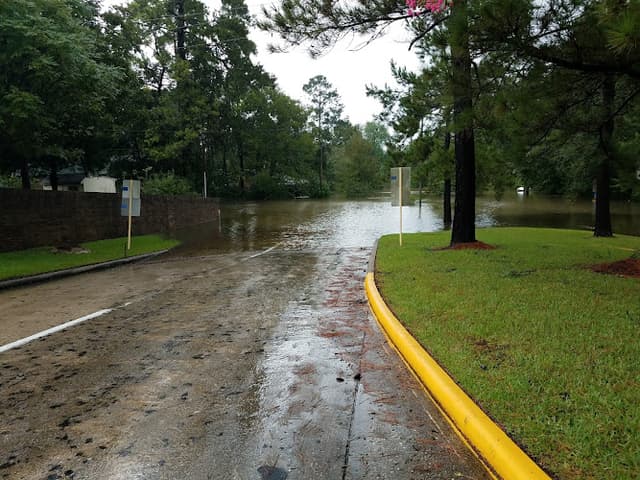Jesse H. Jones Park & Nature Center
