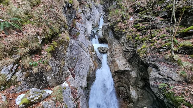 Rindbach Wasserfall