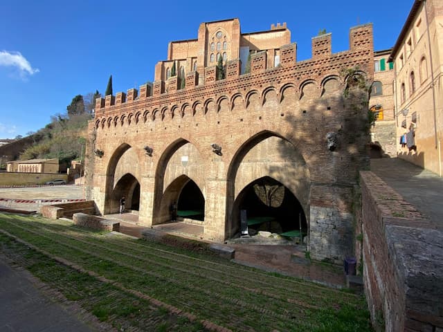 Fontebranda - Fontanina Contrada dell'Oca
