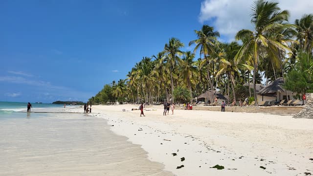 Pingwe Beach