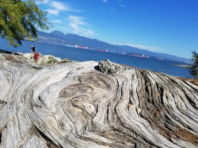 Jericho Beach Park