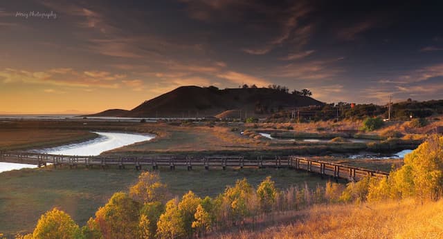 Don Edwards San Francisco Bay National Wildlife Refuge
