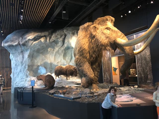 Bell Museum