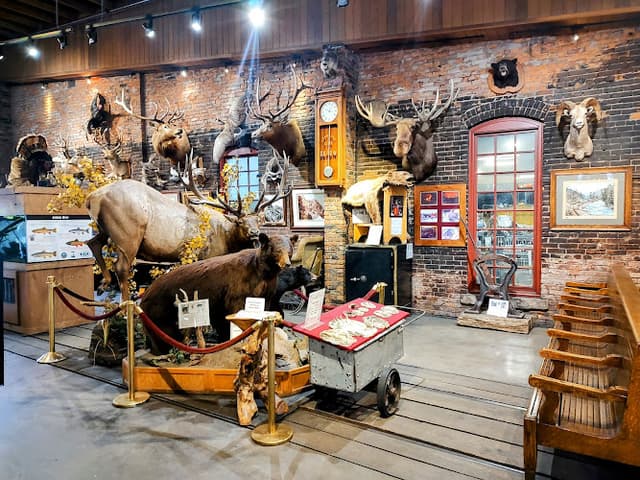 D&SNG Museum