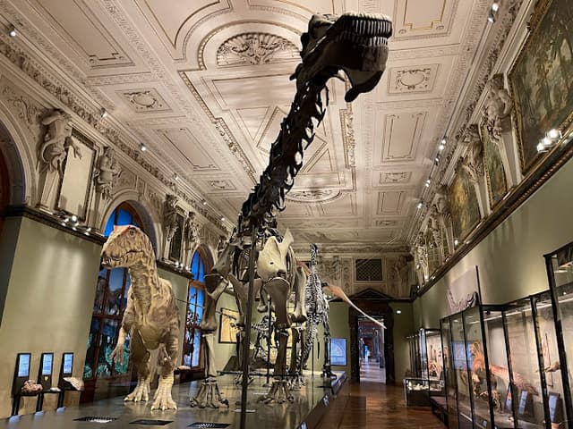 Museum of Natural History Vienna