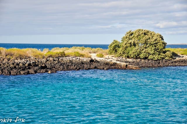 Playa Lobería