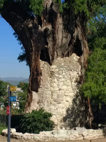 Museo Infantil de Oaxaca