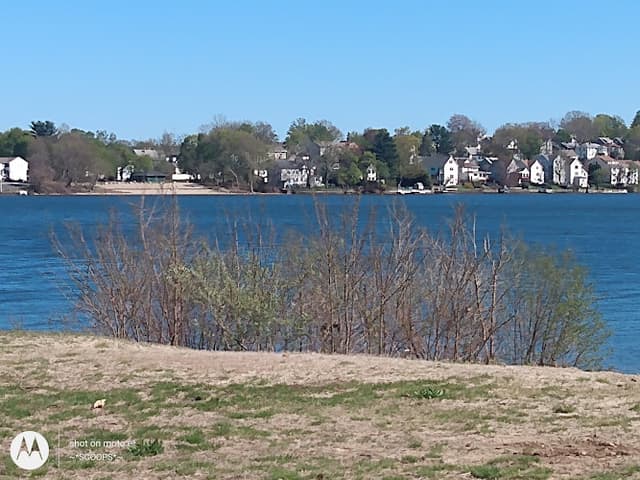 Shore Park