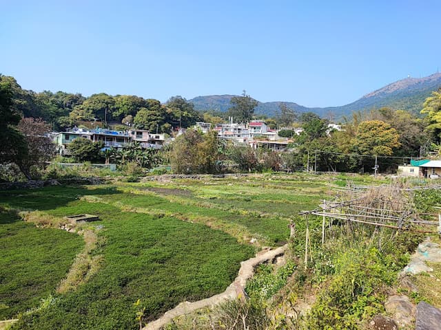 Tai Mo Shan Country Park