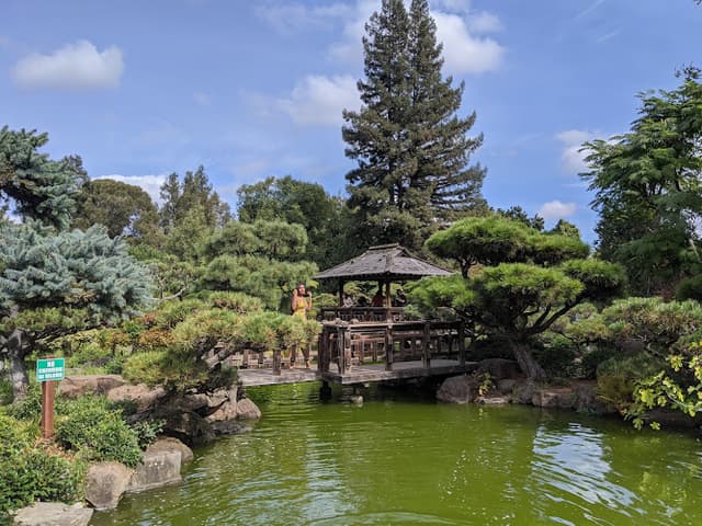 Japanese Gardens