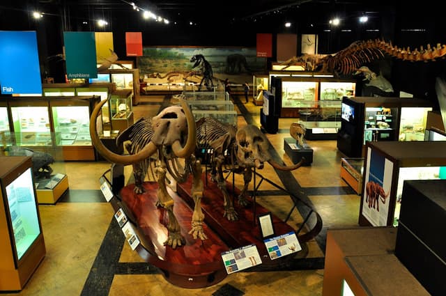 University of Michigan Museum of Natural History