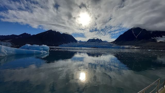 Poli Arctici
