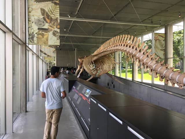 Beaty Biodiversity Museum