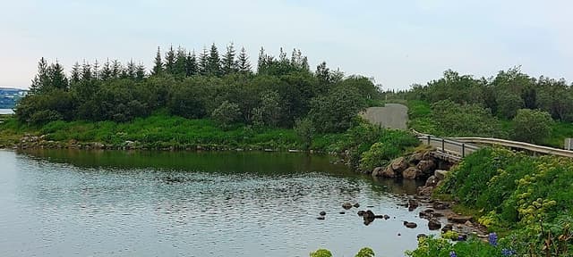 Heiðmörk