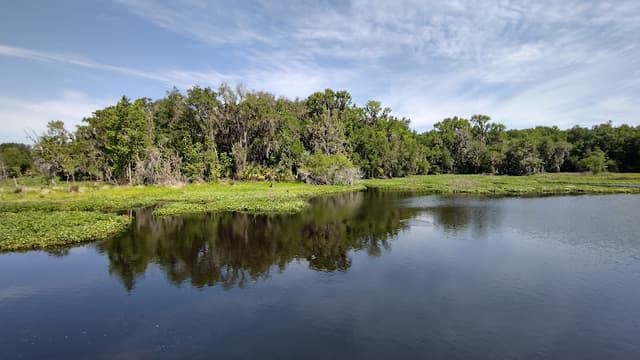 Paynes Prairie Preserve State Park