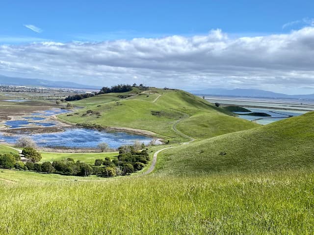 Coyote Hills Regional Park