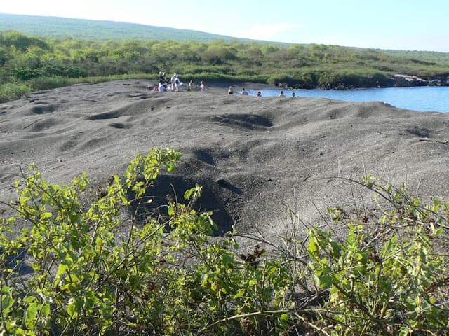 Urbina Bay