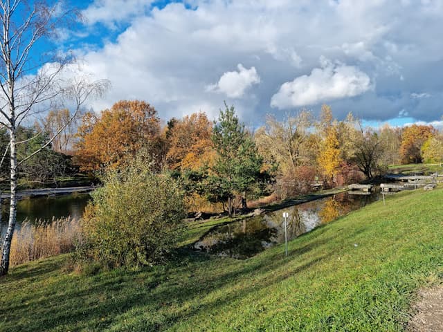 Irchelpark