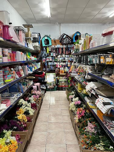 Chinese Store