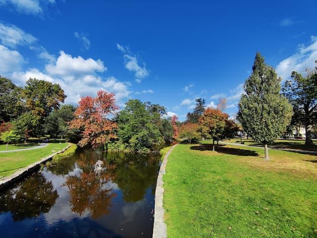 Elm Park