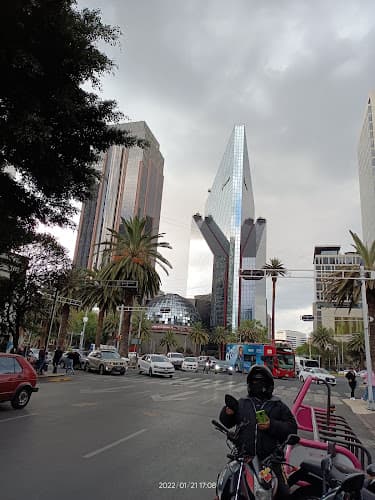 Capital Reforma 250