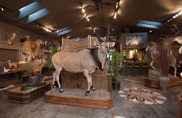 Wendel Museum of Animal Conservation