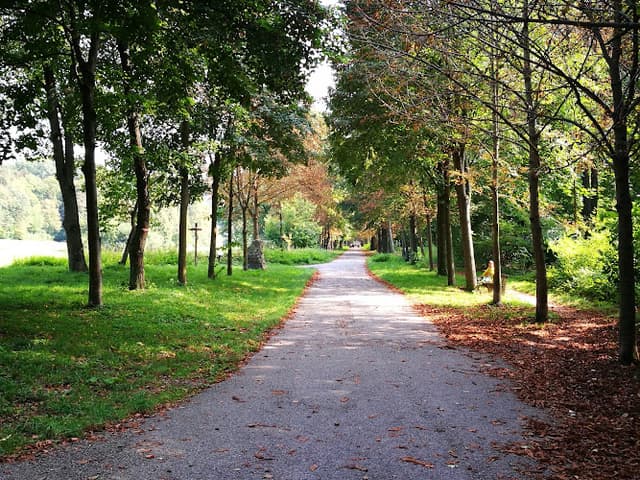 Schwarzenbergpark