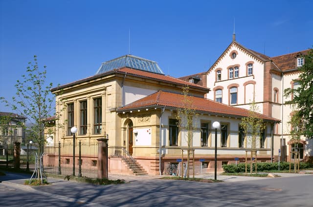 Sammlung Prinzhorn