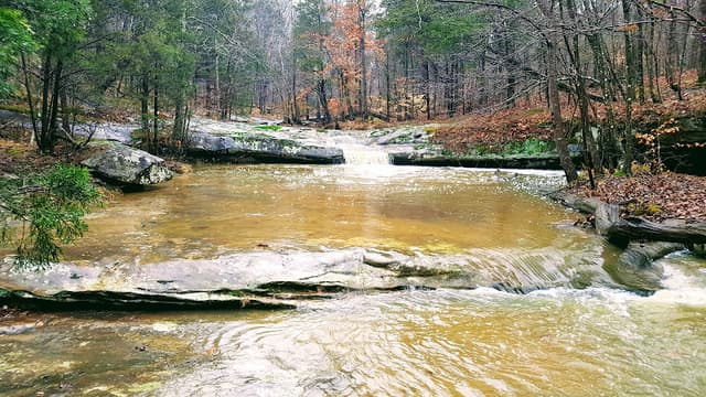 Shawnee National Forest