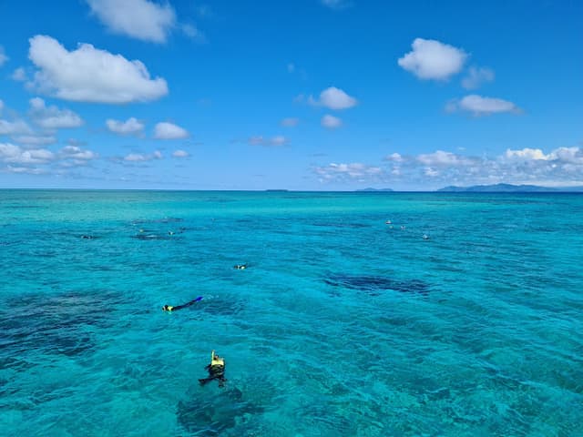 Ocean Free & Ocean Freedom - Cairns Premier Great Barrier Reef & Island Tours