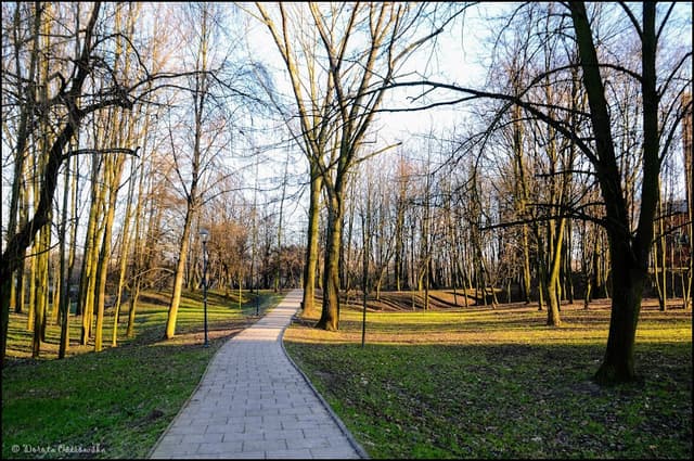 Dąbie Park