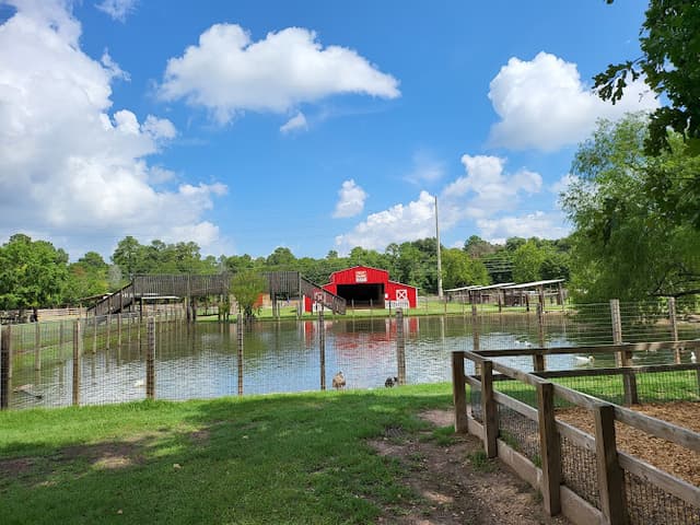 Old MacDonald's Farm