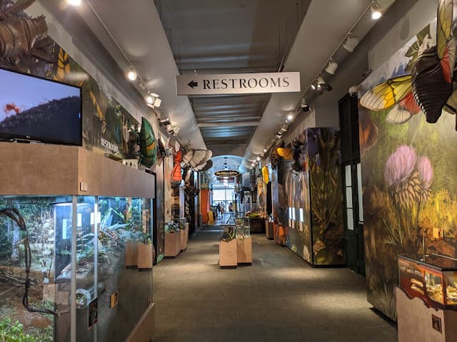 Audubon Insectarium