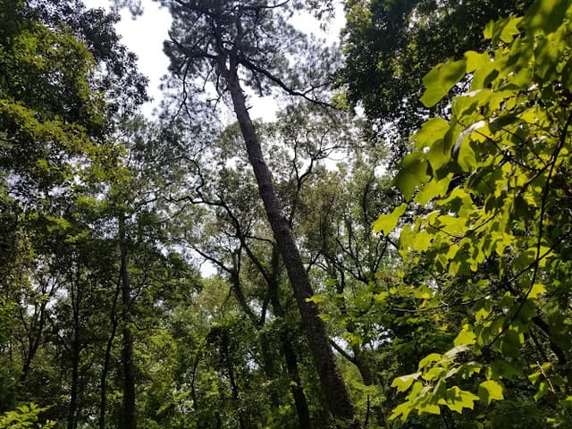 Indian River Park South Side