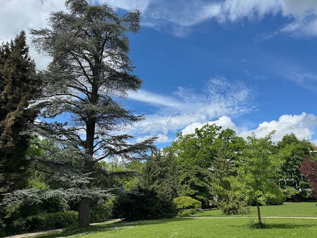 Seeburgpark