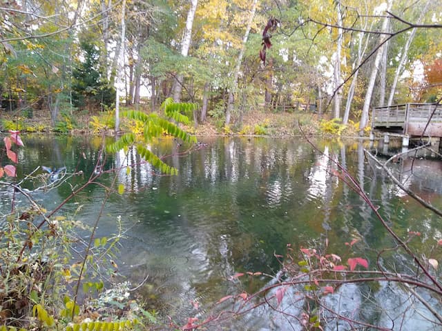 MK Nature Center - Idaho Fish and Game