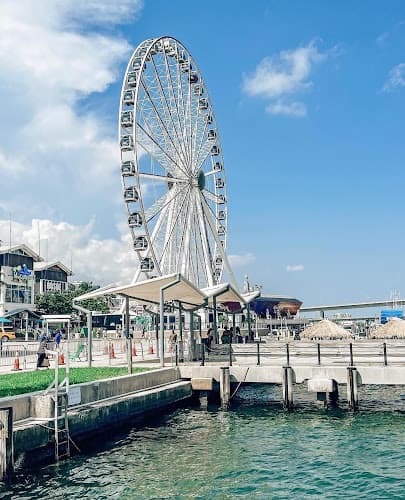 Skyviews Miami Observation Wheel