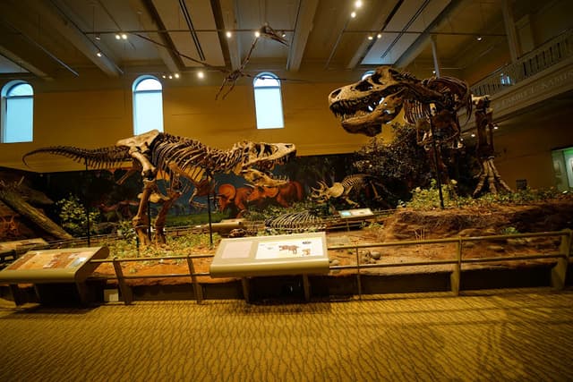 Carnegie Museum of Art